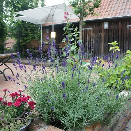 Designhotel 1690 & Apartments Hotel 4*