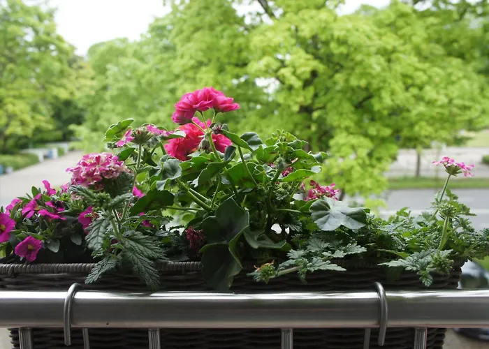 Designhotel 1690&apartments